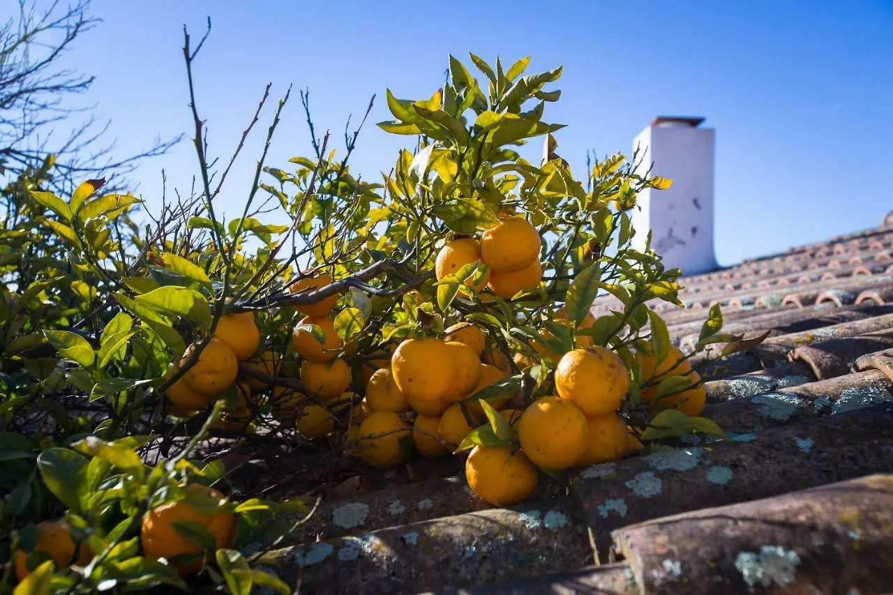 Hotel Casa Tranquila Vejer de la Frontera Vila